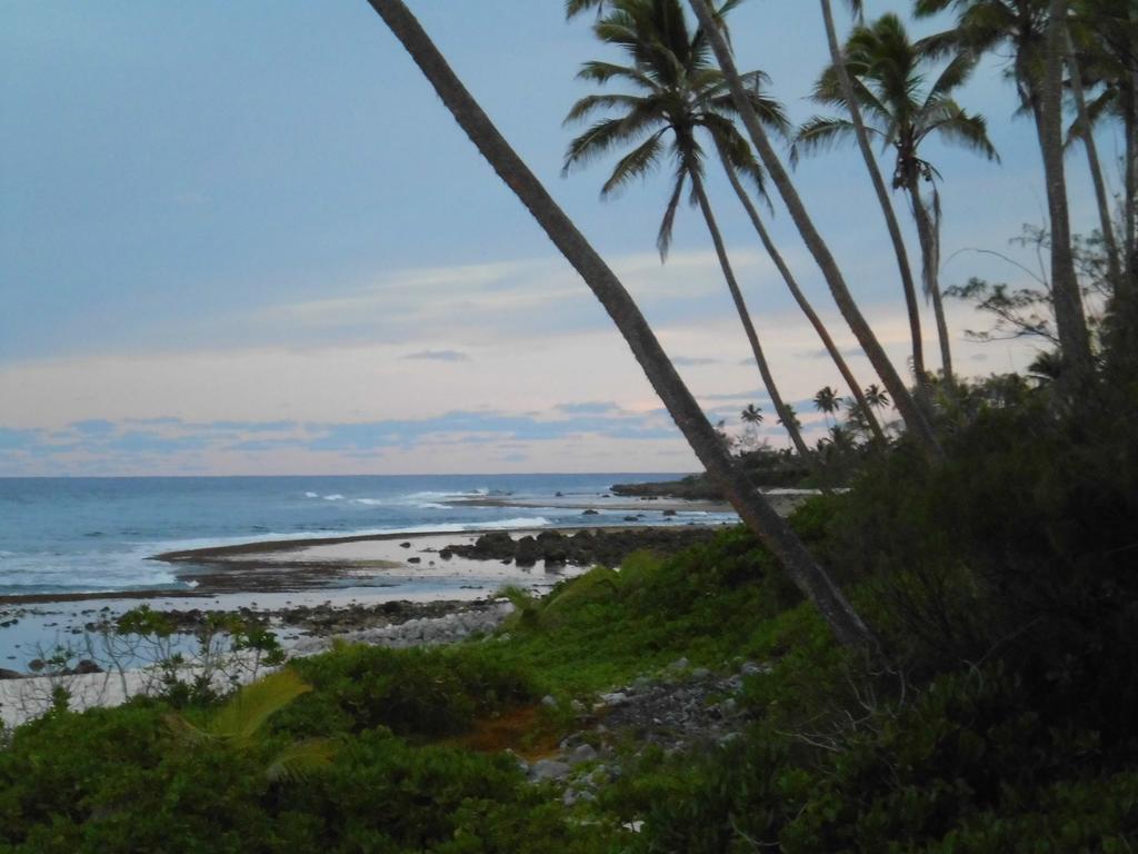 Herons Reef Holiday Apartments ラロトンガ島 エクステリア 写真