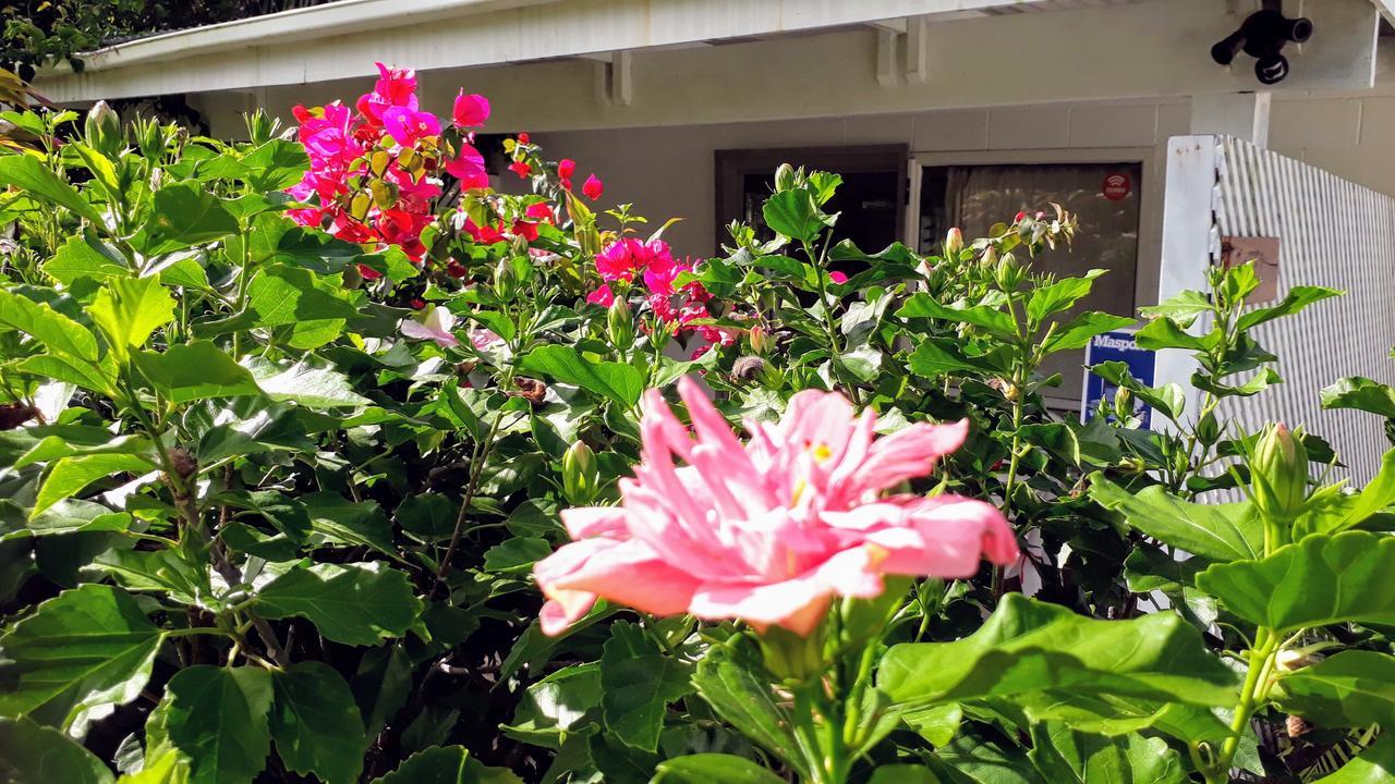 Herons Reef Holiday Apartments ラロトンガ島 エクステリア 写真