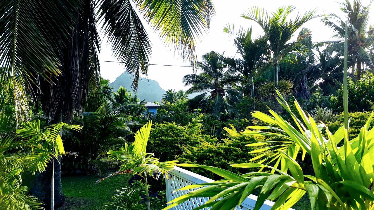 Herons Reef Holiday Apartments ラロトンガ島 エクステリア 写真